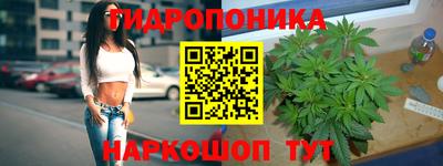 индика Ликино-Дулёво