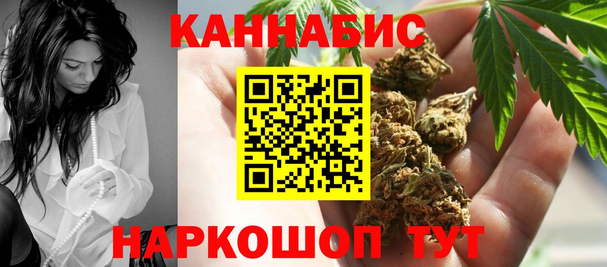 Каннабис сатива Сочи